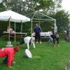 und weiter geht\'s