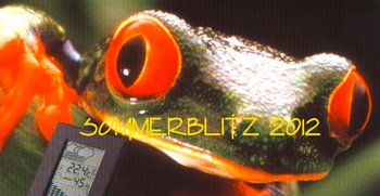 Sommerblitz12